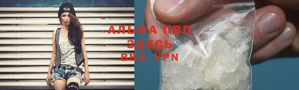 мет Алексин