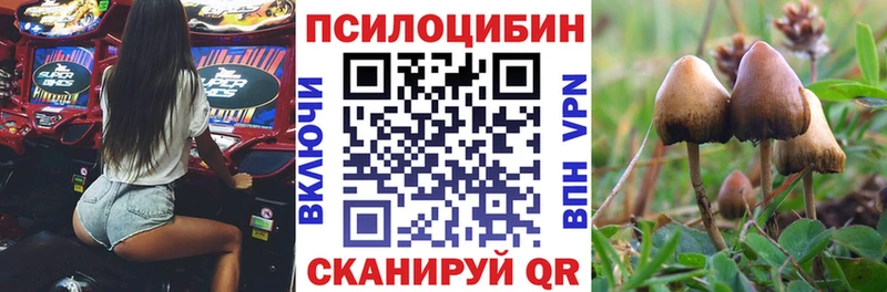 Галлюциногенные грибы Magic Shrooms  MEGA сайт  Амурск 